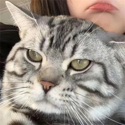 对象不是人系列情头