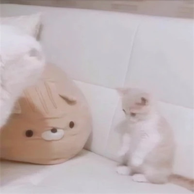 对象不是人系列情头