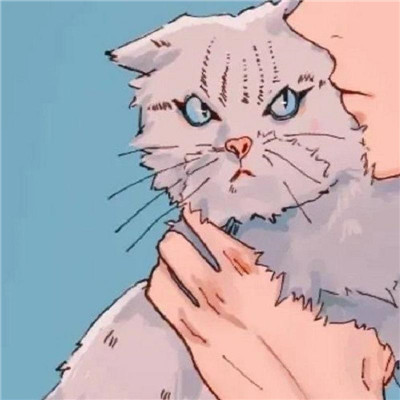 对象不是人系列情头