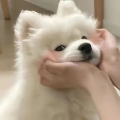 情侣头像精选