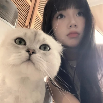 优雅简约女生头像