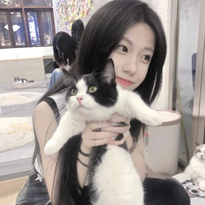 优雅简约女生头像