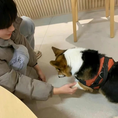 独特的高级氛围感男头