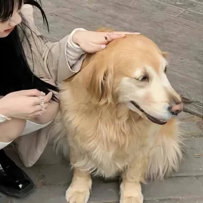 精选情侣头像图片