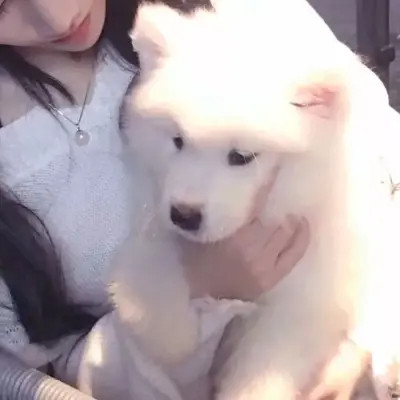 独一无二的情侣头像二人专用
