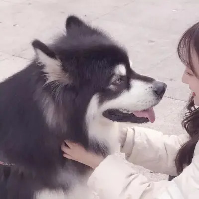 独一无二的情侣头像二人专用