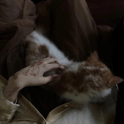 不露脸女生部位头像高清图片