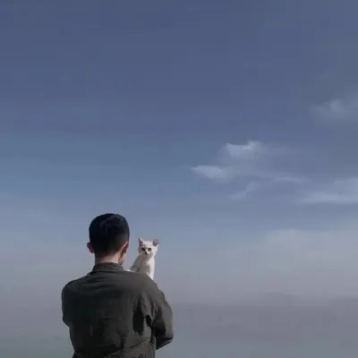 高级感情头氛围感ins