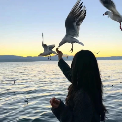2025精选高清女生背影头像图片