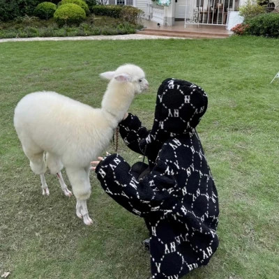 2025年最新唯美女生头像