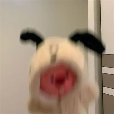 小海狸loopy头像图片