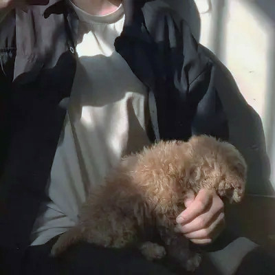 超级好看的真人男生头像图片