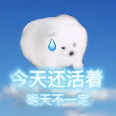 2025年流行可爱的搞怪头像图片