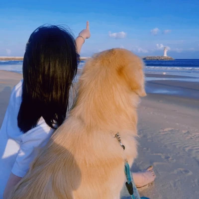美女看不到脸头像图片