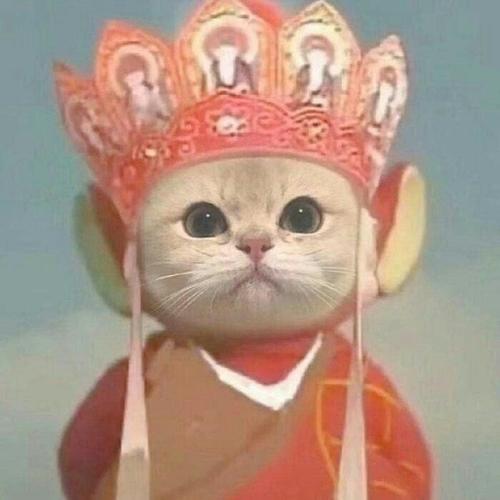 微信头像2025最新款的图片可爱