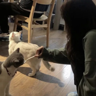 emo感满满的女生头像图片