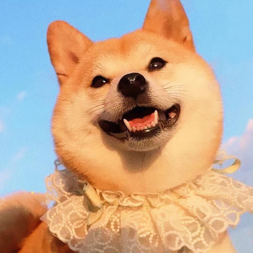 高清无水印小众头像