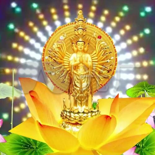 高清无水印小众头像