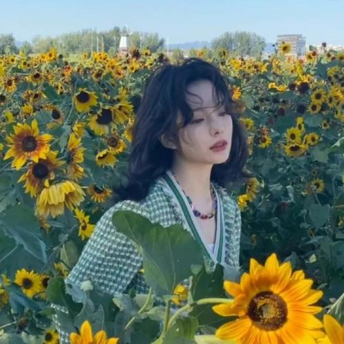 高清无水印小众头像