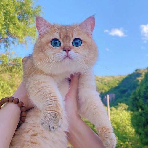 高清无水印小众头像