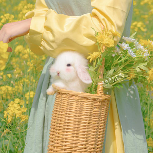 高清无水印小众头像