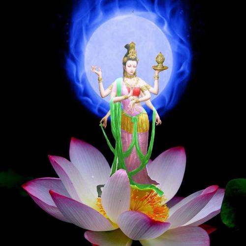 好看的头像图片