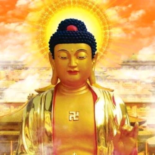 精选头像图片