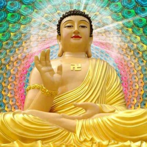 精选头像图片