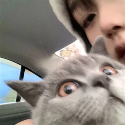 最新真人男头推荐