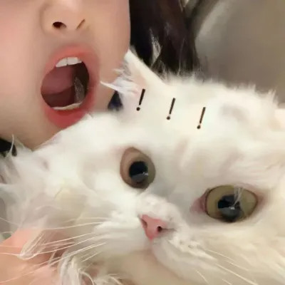 对象不是人系列情头