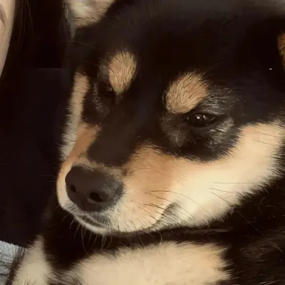 对象不是人系列情头