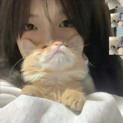 对象不是人系列情头