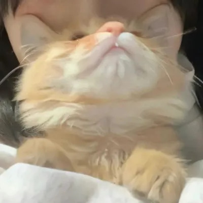 对象不是人系列情头