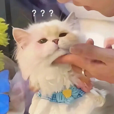 对象不是人系列情头