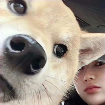 对象不是人系列情头