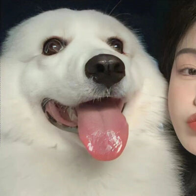 对象不是人系列情头
