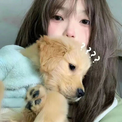 对象不是人系列情头