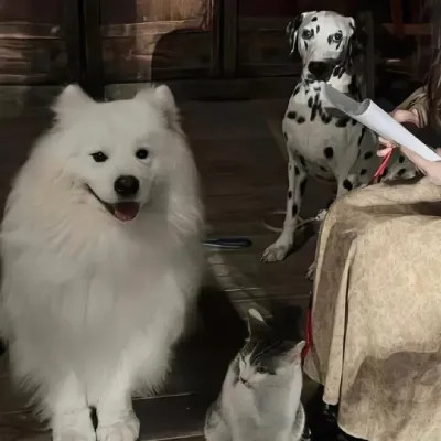 对象不是人系列情头