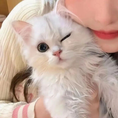 对象不是人系列情头