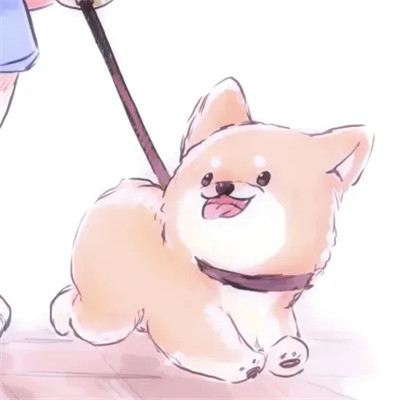 对象不是人系列情头