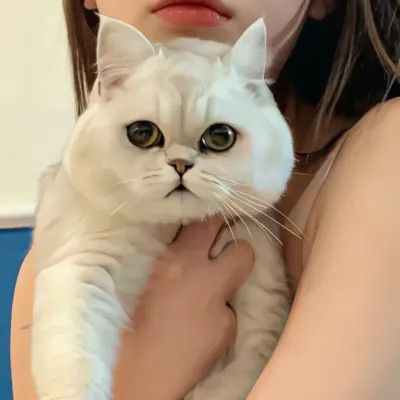 对象不是人系列情头