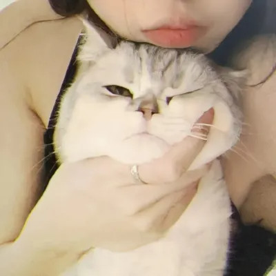 对象不是人系列情头