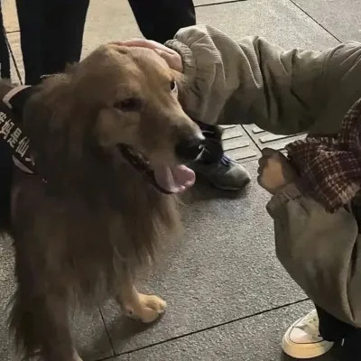 对象不是人系列情头