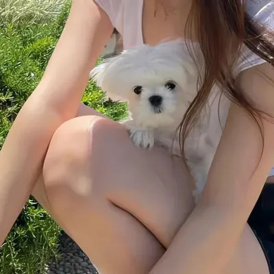 对象不是人系列情头