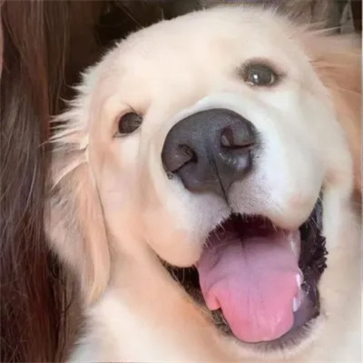 对象不是人系列情头