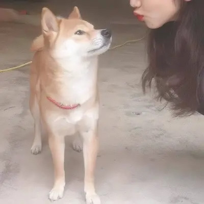 对象不是人系列情头