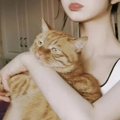 对象不是人系列情头