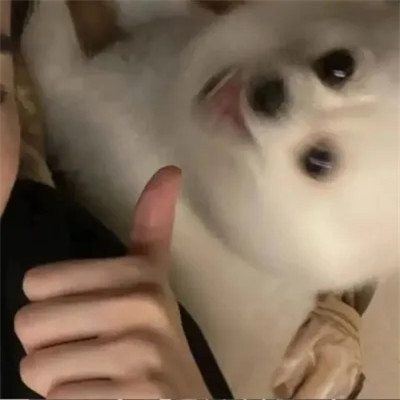 对象不是人系列情头