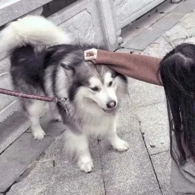 对象不是人系列情头