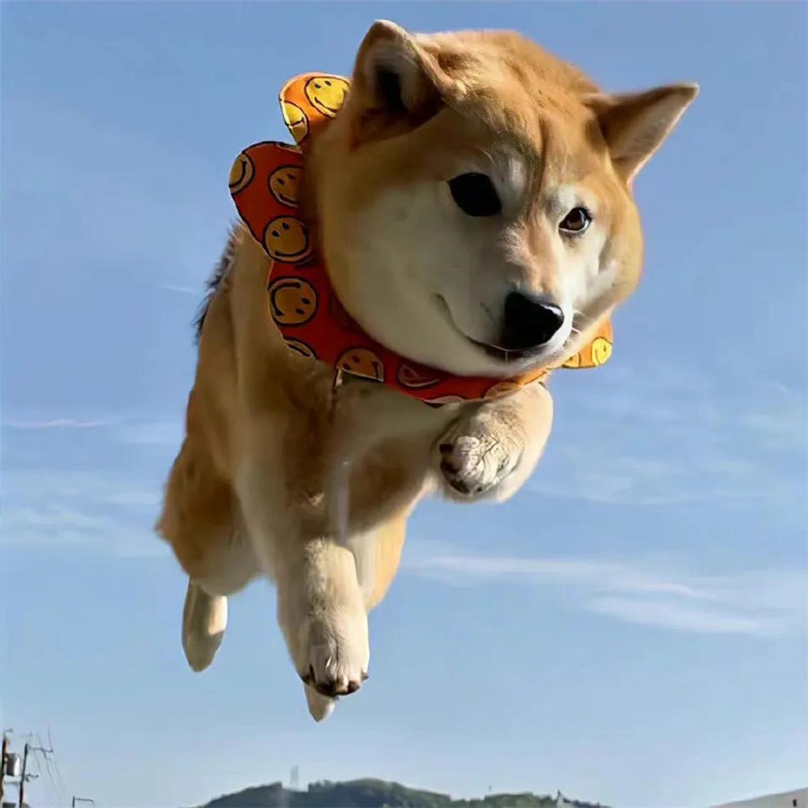 微信可爱搞怪头像图片
